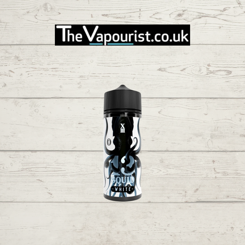 13 Squid White 100ml Blueberry Menthol