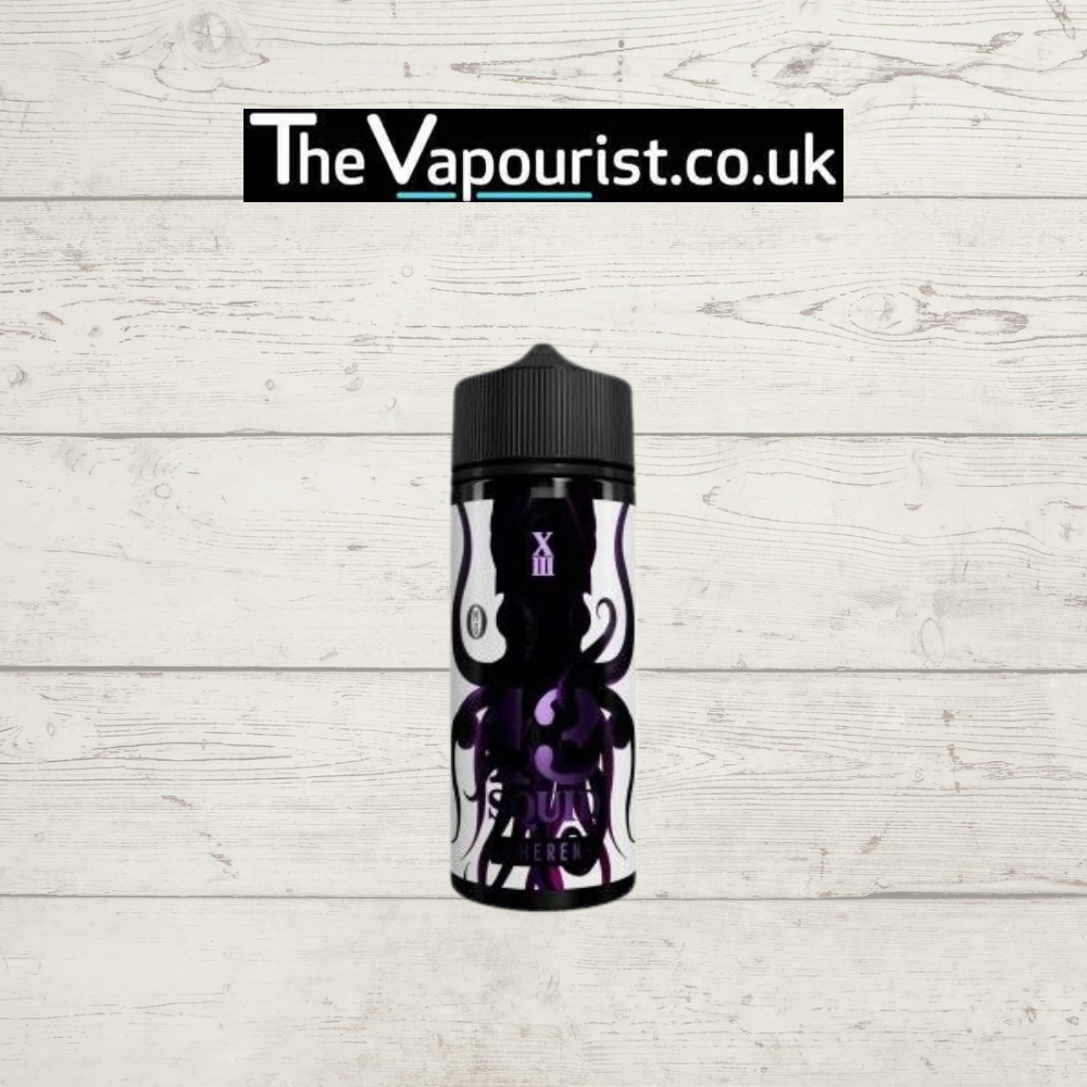 13 Squid Cheren 100ml Forest Fruits